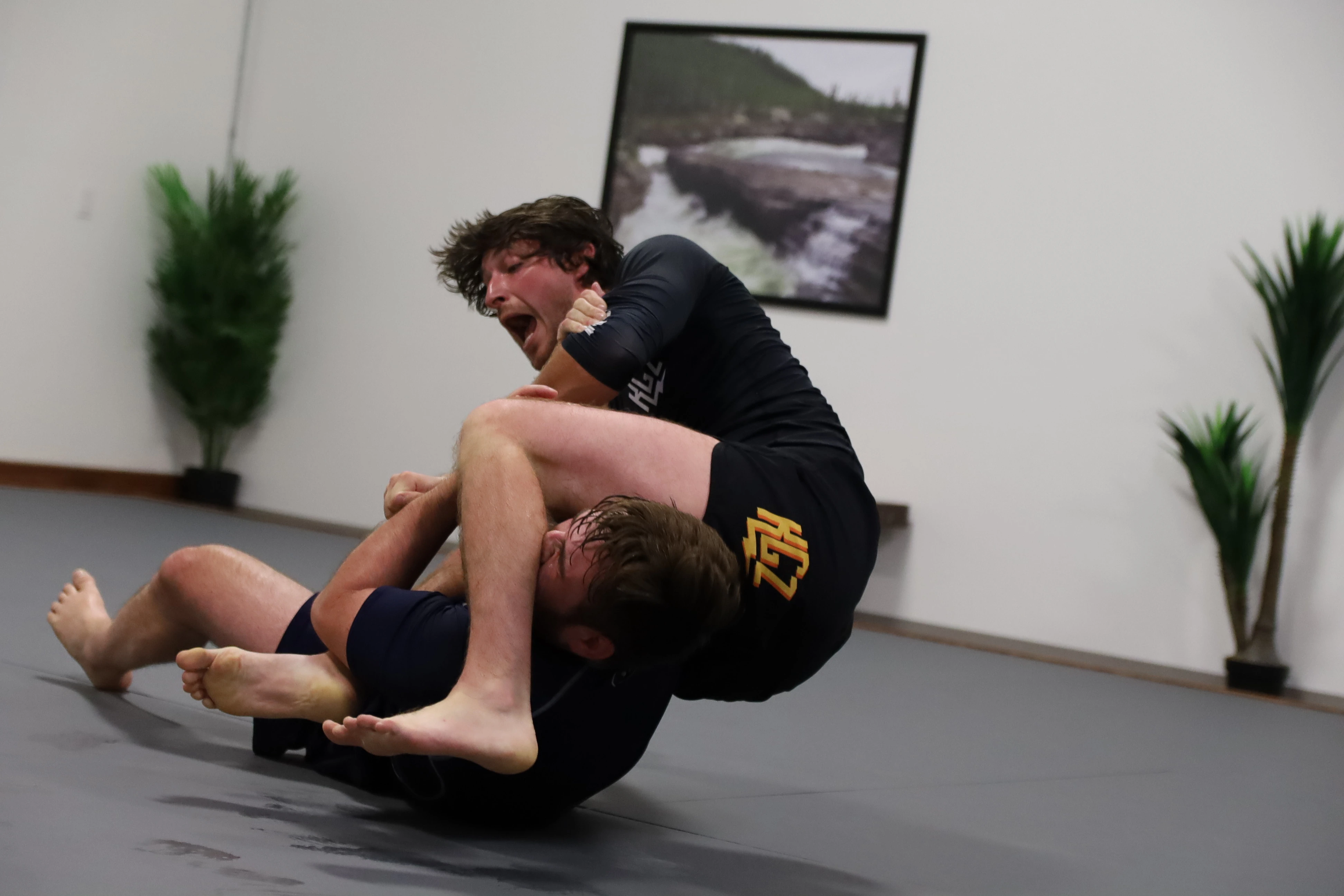 No-GI adult BJJ sparring session at Expedition BJJ